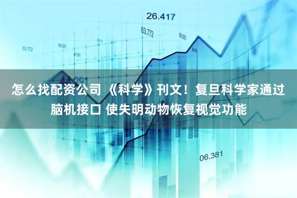 怎么找配资公司 《科学》刊文！复旦科学家通过脑机接口 使失明动物恢复视觉功能